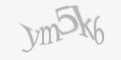 Защитный код