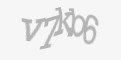 Защитный код